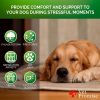 Hemp & Melatonin Calming Chews for Dogs with Anxiety & Stress 120 Treats