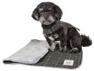 Touchdog 2-In-1 Windowpane Plaided Dog Jacket & Matching Reversible Dog Mat